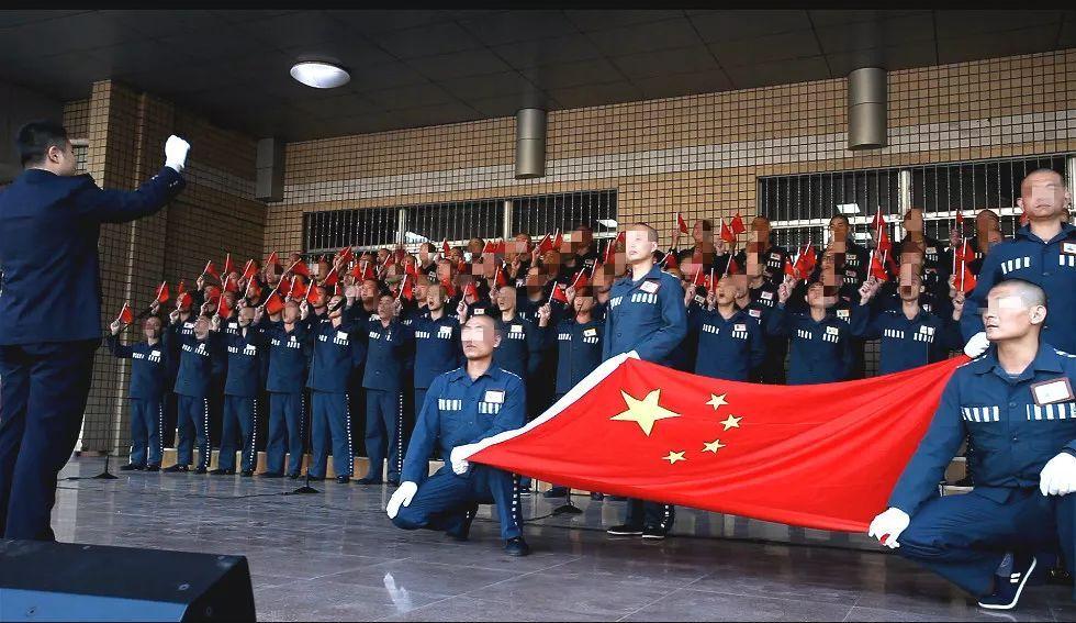 萌宠大连接
